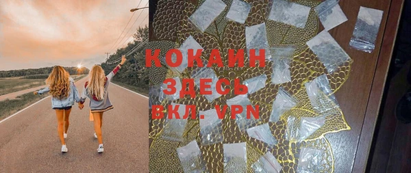 PSILOCYBIN Баксан