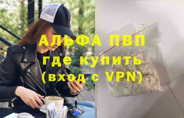 прущие грибы Белокуриха
