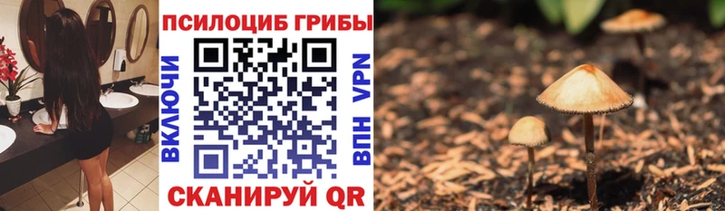 hydra ссылки Бронницы Псилоцибиновые грибы мухоморы